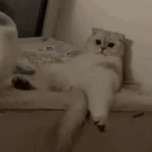 神马久久无码人妻91久久
