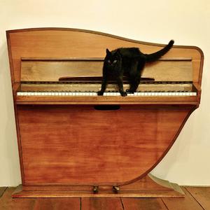 神马久久无码人妻91久久
